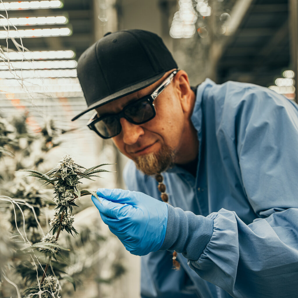 Shavo Odadjian inspects 22Red flower in Arizona